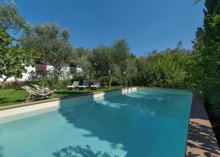 Galli * كالينْسانو